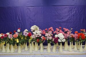 डोंबिवली रोझ फेस्टिवल २०२६